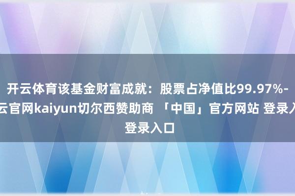 开云体育该基金财富成就：股票占净值比99.97%-开云官网kaiyun切尔西赞助商 「中国」官方网站 登录入口