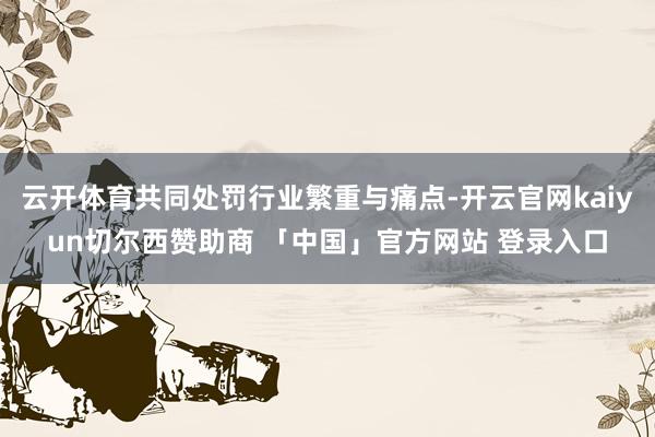 云开体育共同处罚行业繁重与痛点-开云官网kaiyun切尔西赞助商 「中国」官方网站 登录入口