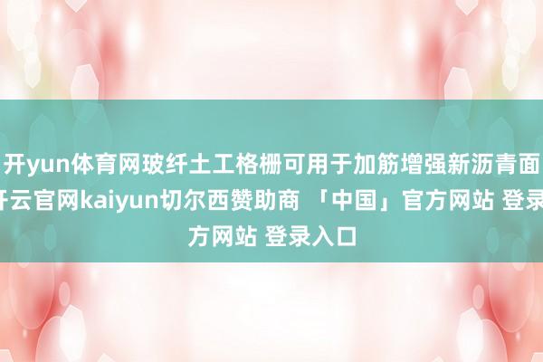 开yun体育网玻纤土工格栅可用于加筋增强新沥青面层-开云官网kaiyun切尔西赞助商 「中国」官方网站 登录入口