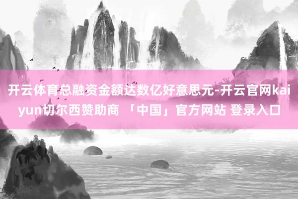开云体育总融资金额达数亿好意思元-开云官网kaiyun切尔西赞助商 「中国」官方网站 登录入口