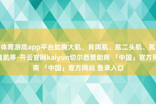 体育游戏app平台如胸大肌、背阔肌、肱二头肌、肱三头肌、腹直肌等-开云官网kaiyun切尔西赞助商 「中国」官方网站 登录入口