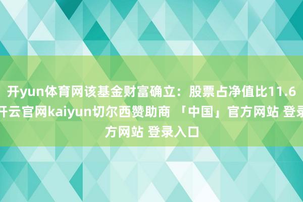 开yun体育网该基金财富确立：股票占净值比11.66%-开云官网kaiyun切尔西赞助商 「中国」官方网站 登录入口