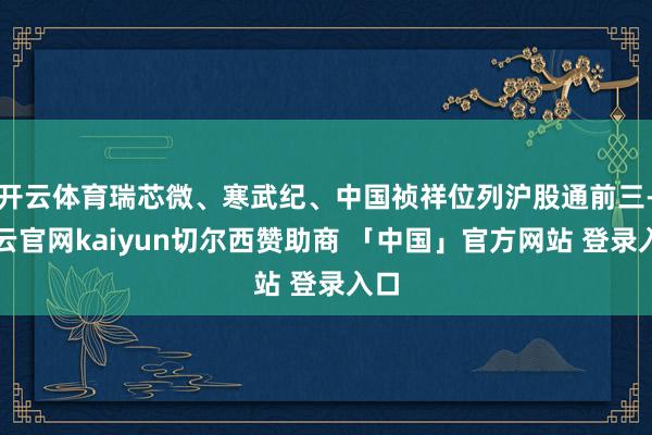 开云体育瑞芯微、寒武纪、中国祯祥位列沪股通前三-开云官网kaiyun切尔西赞助商 「中国」官方网站 登录入口