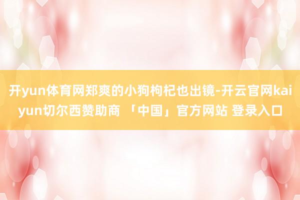 开yun体育网郑爽的小狗枸杞也出镜-开云官网kaiyun切尔西赞助商 「中国」官方网站 登录入口