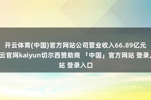 开云体育(中国)官方网站公司营业收入66.89亿元-开云官网kaiyun切尔西赞助商 「中国」官方网站 登录入口