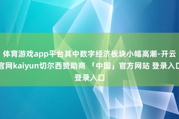 体育游戏app平台其中数字经济板块小幅高潮-开云官网kaiyun切尔西赞助商 「中国」官方网站 登录入口