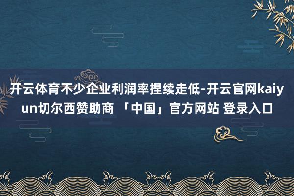开云体育不少企业利润率捏续走低-开云官网kaiyun切尔西赞助商 「中国」官方网站 登录入口
