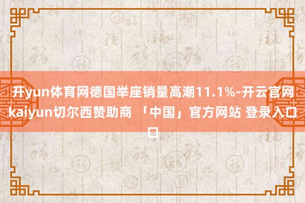 开yun体育网德国举座销量高潮11.1%-开云官网kaiyun切尔西赞助商 「中国」官方网站 登录入口