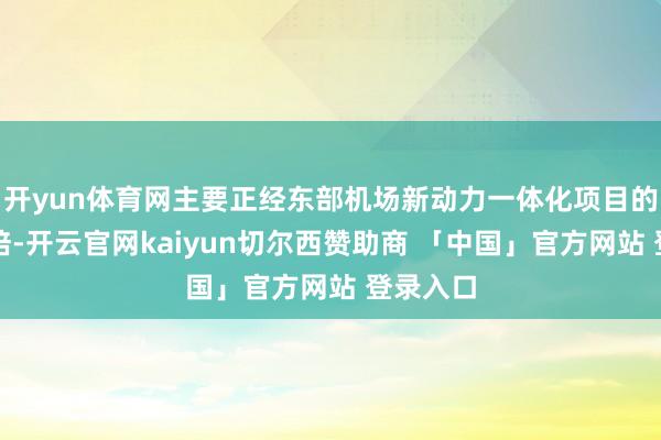 开yun体育网主要正经东部机场新动力一体化项目的斥地栽培-开云官网kaiyun切尔西赞助商 「中国」官方网站 登录入口